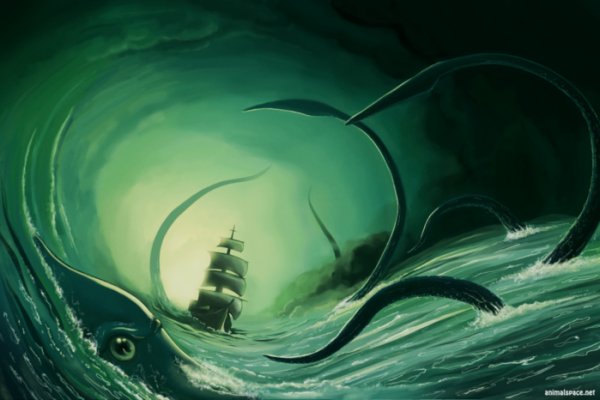 Kraken настоящая ссылка
