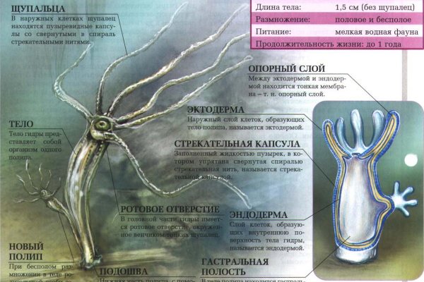 Кракен онион